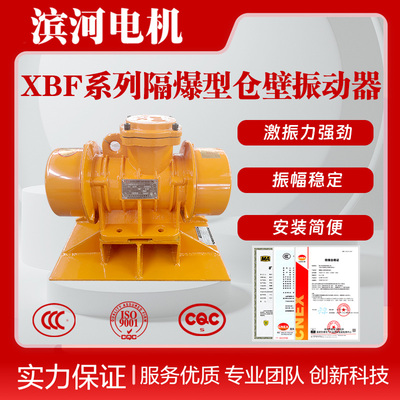 滨河XBF-6隔爆仓壁振动器5-2防爆振动电机0.37kW