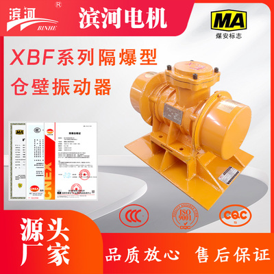 滨河隔爆料仓振动防闭塞装置LZF-5配3-2防爆振动电机3KN
