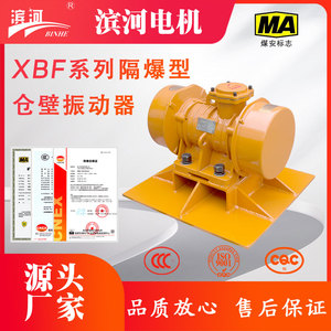 滨河源头供应XBF-25隔爆仓壁振动器30KN可防止150吨仓容物料堵塞