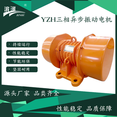 YZH-15-6振动电机新乡滨河厂家制造功率1.1kW