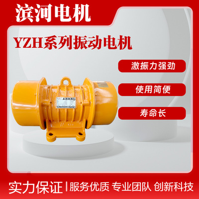 YZH-3-6振动电机新乡滨河厂家制造