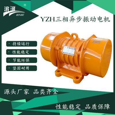 YZH-5-4振动电机转速1460rpm滨河厂家制造