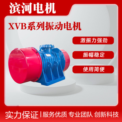 100KN滨河XVB-100-8八极振动电机7.5kW可替换VB-100758-W型号
