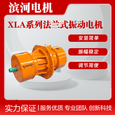 XLA-20-6Z滨河振动电机侧板安装质量三包