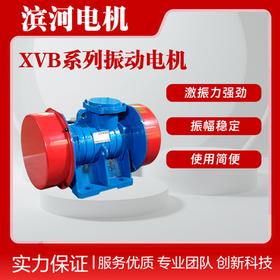 XVB-3-6六极三相异步振动电机滨河原厂供应0.2kW可替换VB-326-W型号
