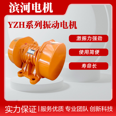 YZH-30-2振动电机滨河厂家制造激振力30kN