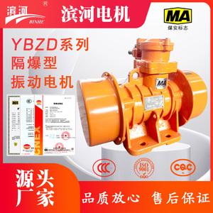滨河防爆振动电机YBZD-3-6三相异步振动电机