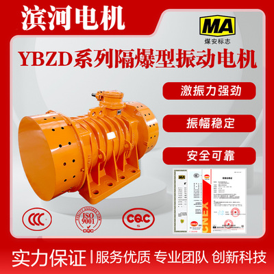 滨河YBZD-160-8防爆振动电机煤矿井下作业适用八极隔爆型振动电机