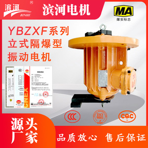 YBZXF-10-4四极法兰式粉尘隔爆型振动电机滨河供应10KN来说防爆振动电机