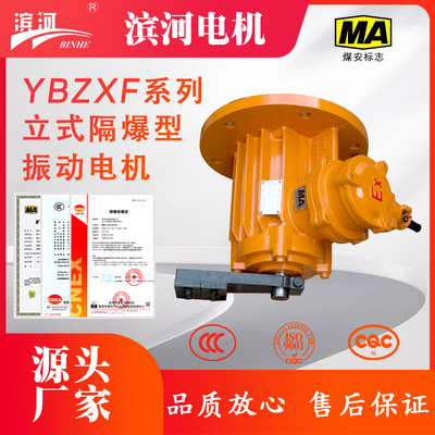 滨河YBZXF-20-4法兰式1.1kW防爆振动电机IP65体型小安装便捷