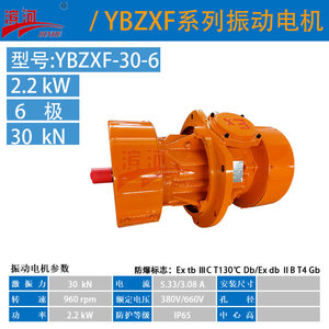 YBZXF-30-6粉尘防爆振动电机法兰式安装滨河厂家制造