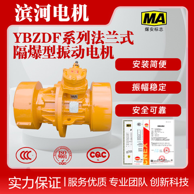 滨河供应YBZDF-40-6六极法兰式隔爆型振动电机IP65防护侧板安装防爆振动电机