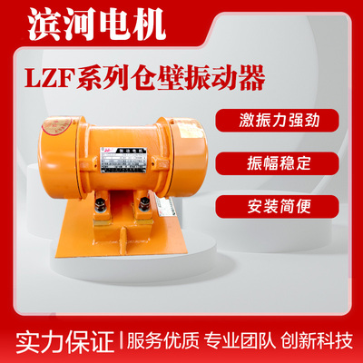 LZF-5料仓振动防闭塞装置滨河0.25kW仓壁振动器