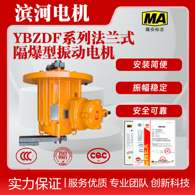 滨河隔爆振动电机YBZDF-10-6三相异步振动电机