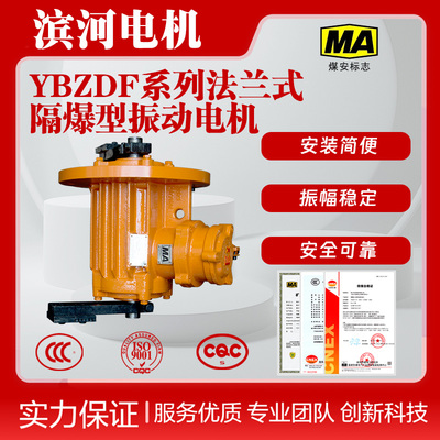 滨河防爆立式振动电机YBZDF-20-4三相振动电机