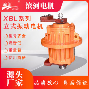 振动筛分机XBL-40-4滨河三相异步振动电机